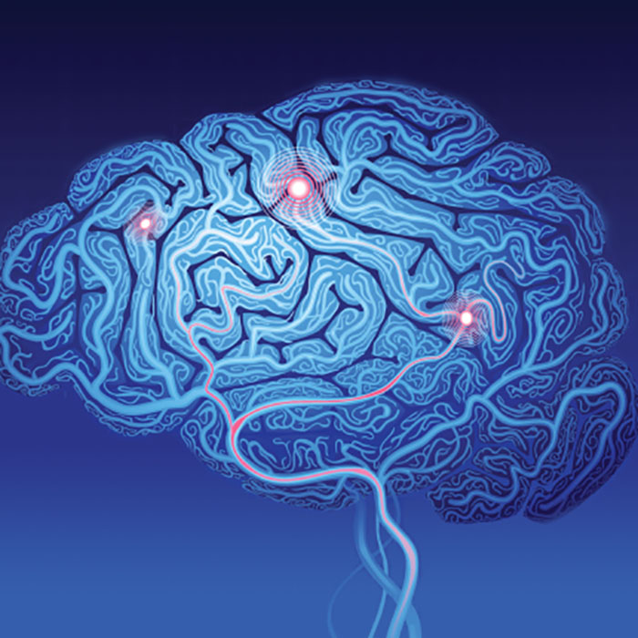 Endocannabinoid System